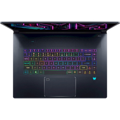 Acer Predator Triton 17X PTX17-71 (NH.QK3EU.001)