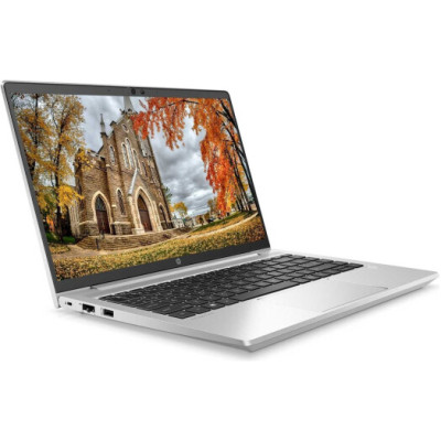 HP Probook 445 G9 (6S6X7EA)