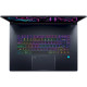 Acer Predator Triton 17 X PTX17-71-99W5 (NH.QK3AA.001)