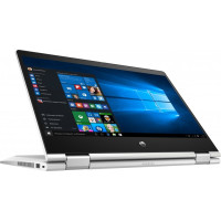 HP ProBook x360 435 G7 Pike Silver (8RA65AV_V2)