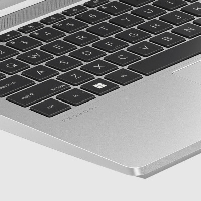 HP ProBook 445 G10 Silver (70Z78AV_V5)