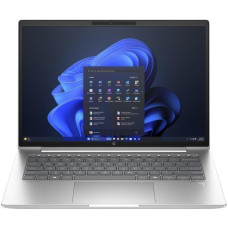 HP ProBook 445 G11 Pike Silver (AD0T6ET)