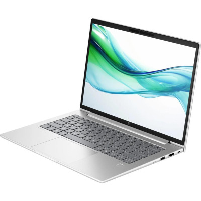 HP ProBook 445 G11 Pike Silver (AD0T6ET)