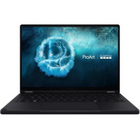 ASUS ProArt GoPro Edition HN7306EAC Nano Black (HN7306EAC-LX045X)