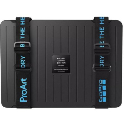 ASUS ProArt GoPro Edition HN7306EAC Nano Black (HN7306EAC-LX045X)