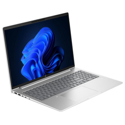 HP ProBook 465 G11 Pike Silver (A38JTET)