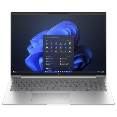 HP ProBook 465 G11 Pike Silver (A38JTET)