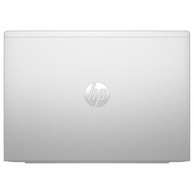 HP ProBook 465 G11 Pike Silver (A38JTET)