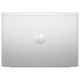HP ProBook 465 G11 Pike Silver (A38JTET)