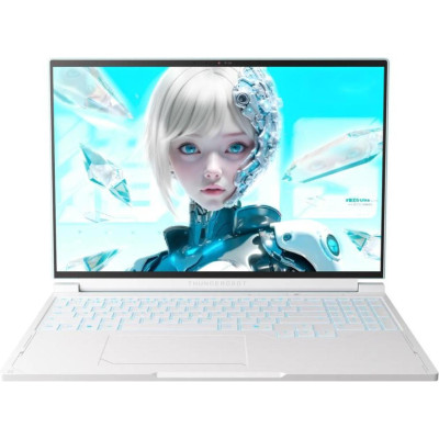Thunderobot RS16 (RS16-i7136HX56C1Q180RC)