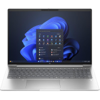 HP ProBook 465 G11 (AD1X1ET)