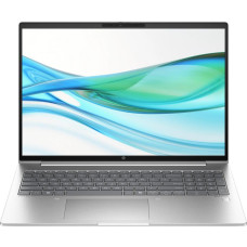 HP ProBook 460 G11 Pike Silver (8Z674AV_V6)