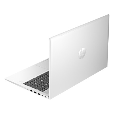 HP ProBook 455 G10 (719G1AV_V1)