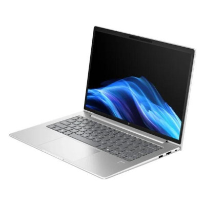HP EliteBook 6 G1i 14 Pike Silver (AV3P8AV_V3)