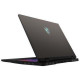 MSI Crosshair A17 HX D8WFKG Cosmos Gray (D8WFKG-023XUA)