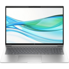 HP ProBook 460 G11 Pike Silver (8Z677AV_V6)