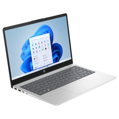 HP 14-em0009ua Natural Silver (91M18EA)