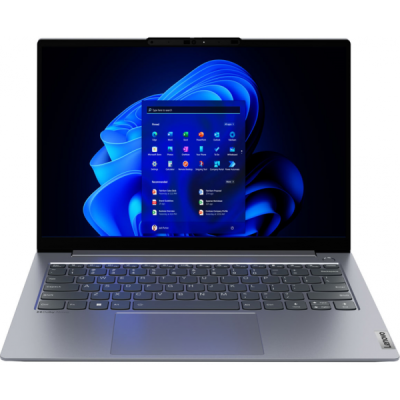 Lenovo ThinkBook 14+ G4 IAP Arctic Grey (21CX000URA)