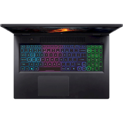 Acer Nitro 17 AN17-42-R9VX Obsidian Black (NH.QSEEU.002)