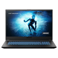 Medion Erazer Defender P15 (MD 64095)