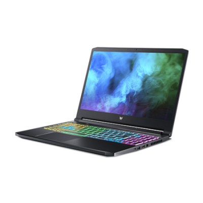 Acer Predator Triton 300 PT315-53-7691 (NH.QDSAA.002)