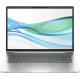 HP ProBook 440 G11 Pike Silver (A1LC2UT)