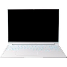 Thunderobot RS16 (RS16-R9985HX57TE1Q240ARC)