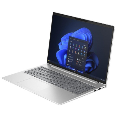 HP ProBook 460 G11 Pike Silver (AD0W7ET)