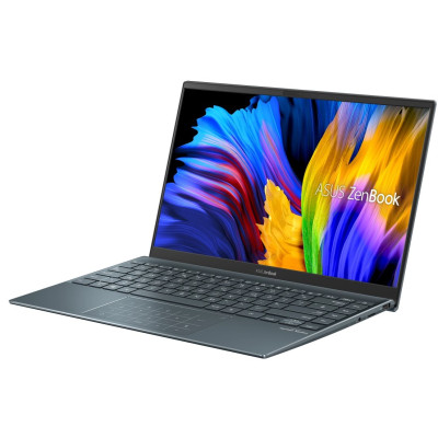 ASUS ZenBook 14 UM425QA Pine Gray (UM425QA-KI198)