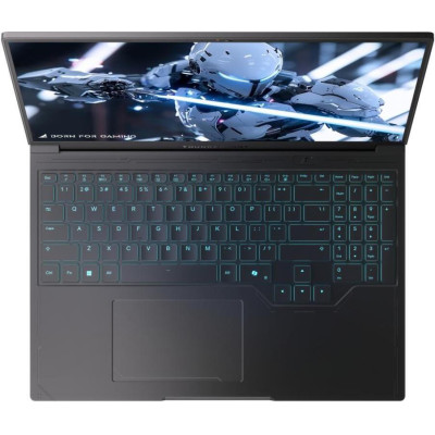Thunderobot RS16 (RS16-i9139HX57TC1Q240ARB1)