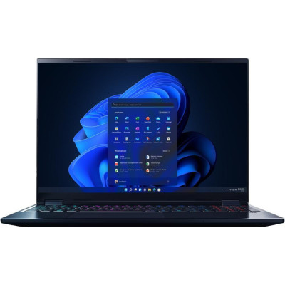 Acer Predator Helios Neo 16S AI PHN16S-71-94KB NH.QX7EU.00A Black