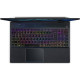 Acer Predator Helios 300 PH315-55-798R (NH.QGNEX.00E)