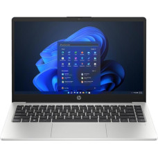 HP 245 G10 Turbo Silver (A3DU4ES)