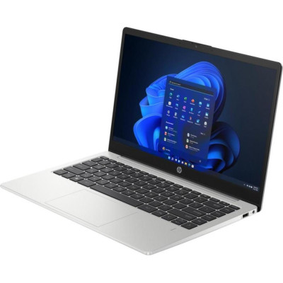 HP 245 G10 Turbo Silver (A3DU4ES)