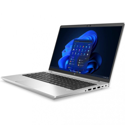 HP ProBook 445 G8 Pike Silver (2U740AV_V7)
