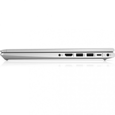HP ProBook 445 G8 Pike Silver (2U740AV_V7)