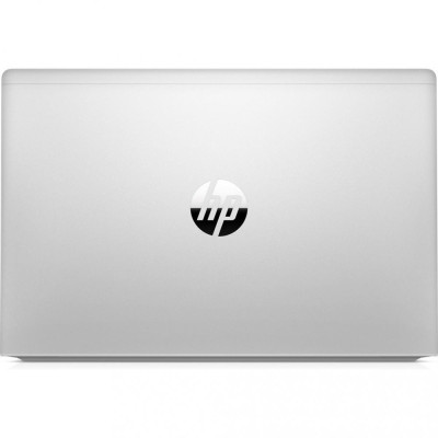 HP ProBook 445 G8 Pike Silver (2U740AV_V7)