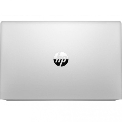 HP ProBook 450 G8 Pike Silver (1A893AV_V24)