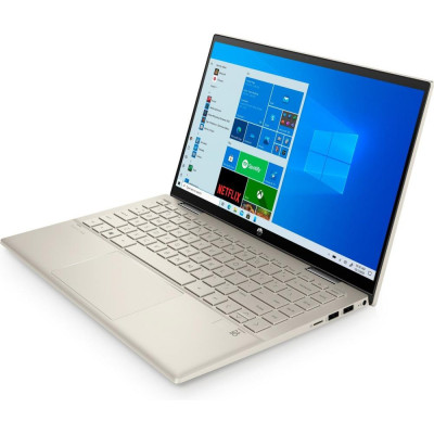 HP Pavilion x360 (423H8EA)