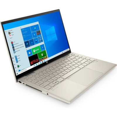 HP Pavilion x360 (423H8EA)