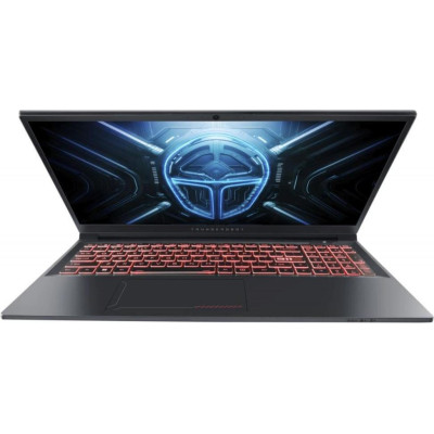 Thunderobot R16 (R16-i9139HX57C1Q300RG)