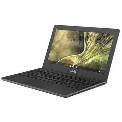 ASUS Chromebook C204MA (C204MA-GJ0314)