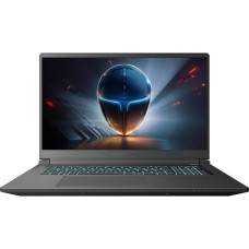 Thunderobot 911 X17 (911X17-i7136H56C1Q165MB)