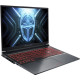 Thunderobot R16 (R16-i7146HX56C1Q300RG)