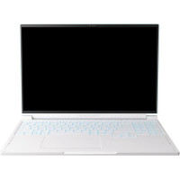 Thunderobot RS16 (RS16-I9139HX56E1Q240ARC)