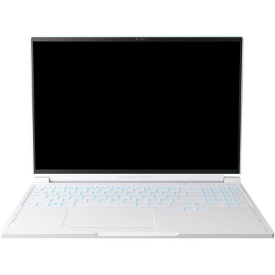 Thunderobot RS16 (RS16-I9139HX56E1Q240ARC)