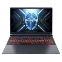 Thunderobot R16 (R16-i7136HX56C1Q180RG)