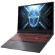 Thunderobot R16 (R16-i7136HX56C1Q180RG)
