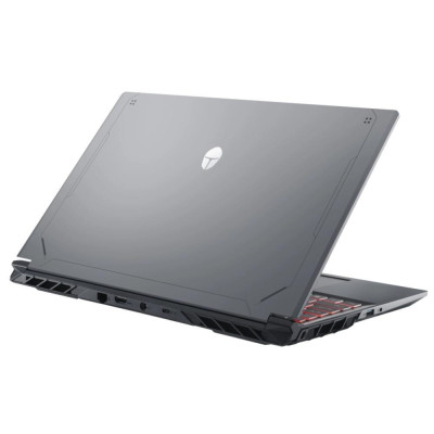 Thunderobot R16 (R16-i7136HX56C1Q180RG)
