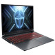 Thunderobot R16 (R16-i7136HX56C1Q180RG)